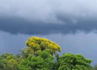 Terça-feira será de sol e chuva moderada em Mato Grosso do Sul